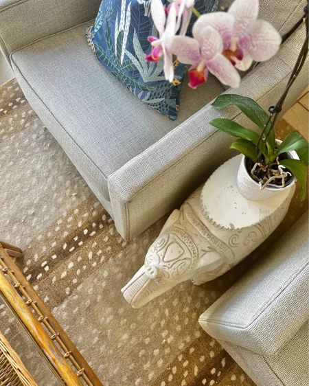 Antelope rug, Grandmillennial home, coastal home, home decor, affordable home rug, living room rug

#LTKsalealert #LTKhome
