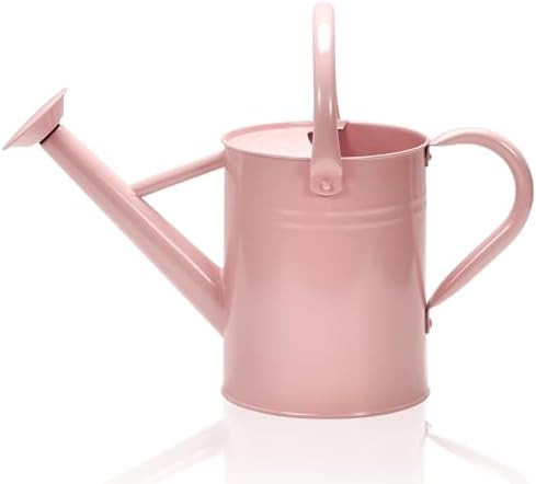 Metal Watering Can with Removable Spout, Galvanized Watering Can, Perfect for Indoor Use and for ... | Amazon (US)
