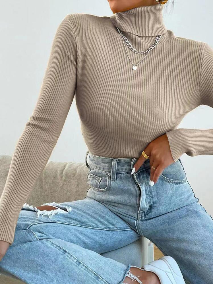 Aidyla Basic Turtleneck Ribbed Knit Sweater Without Necklace,Long Sleeve Tops Knit Pullover Fall Winter Outfit | SHEIN
