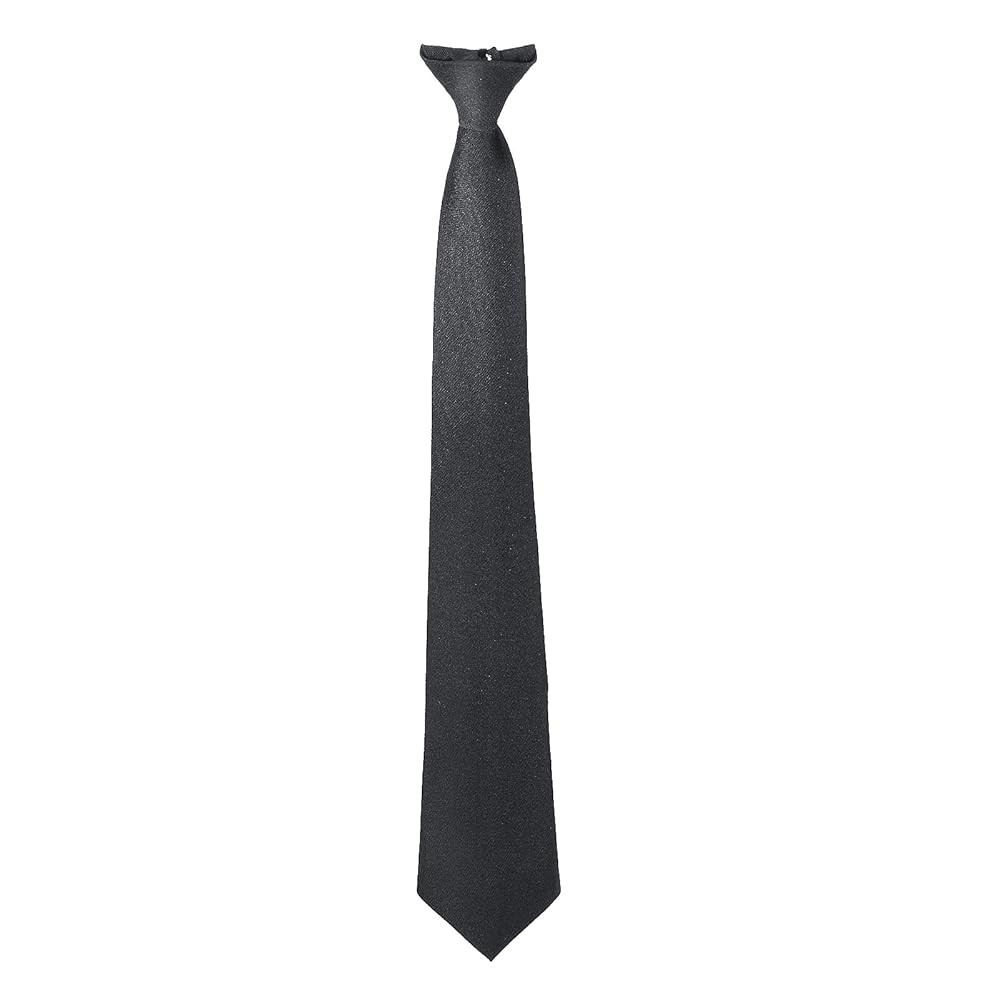 Aster Men's Clip on Ties Pre Tied Neckties Black Clip-on Tie Skinny Neck Tie for Wedding Office G... | Amazon (US)