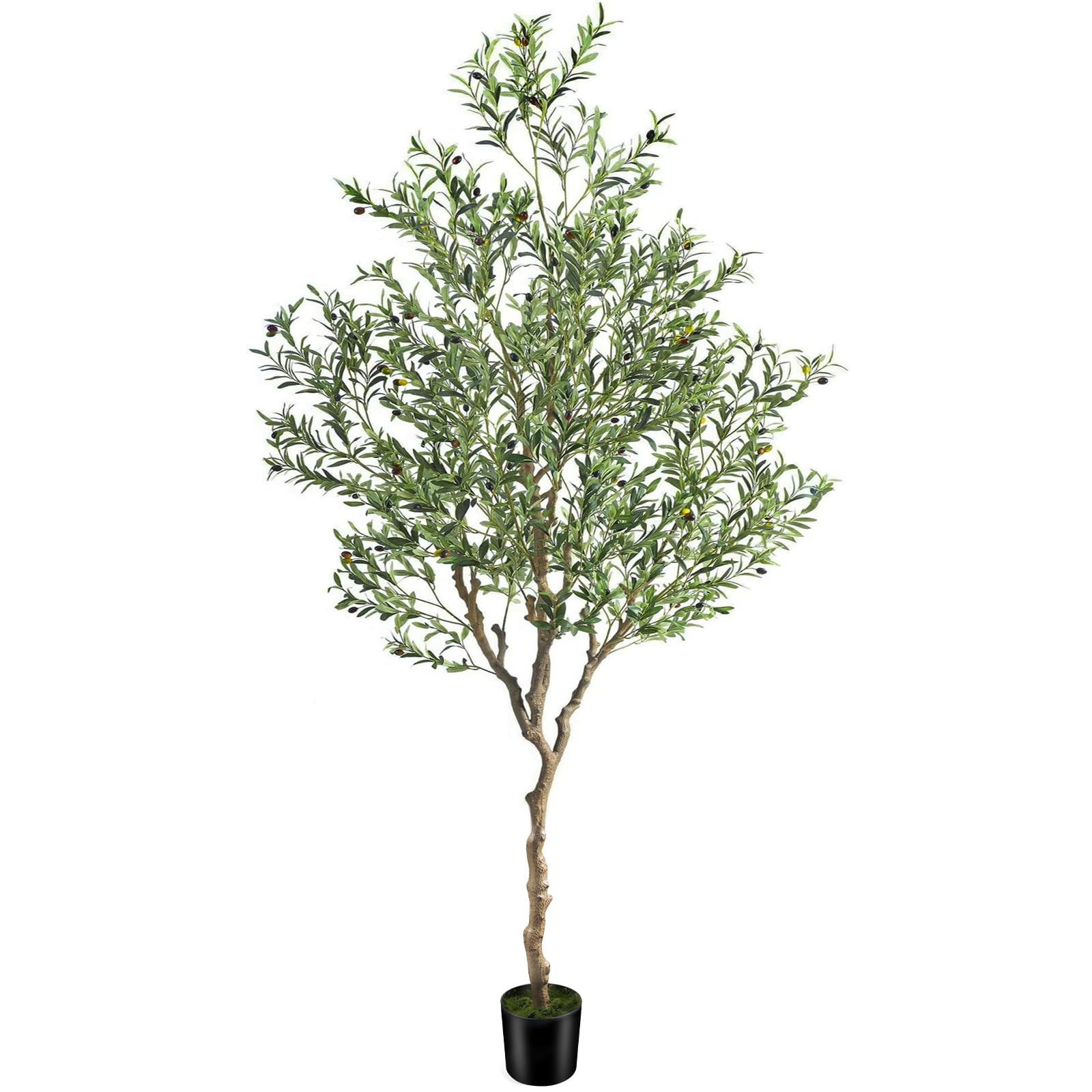 7ft Artificial Olive Tree Potted, Faux Indoor Plants with Natural Wood Trunk & Lifelike Fruits, R... | Amazon (US)