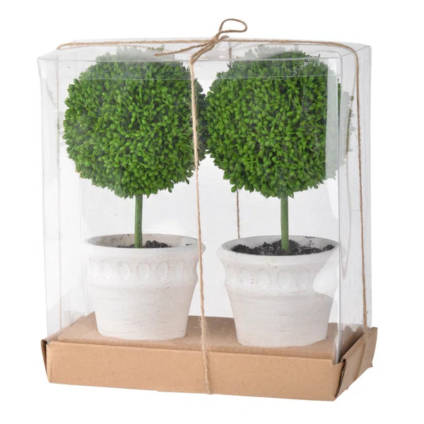 Boxwood Topiary in Pot | Wayfair North America
