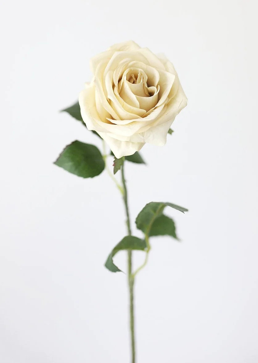 Artificial Rose in Eggshell Cream - 21.5 | Afloral (US)
