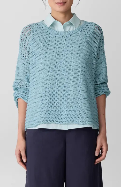 Eileen Fisher Crewneck Oversize Organic Cotton Sweater in Pale Sky at Nordstrom, Size Large | Nordstrom
