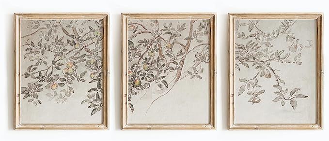 Apple Tree Vintage Wall Art - Vintage Farmhouse Wall Decor, French Botanical Art Prints, Moody De... | Amazon (US)