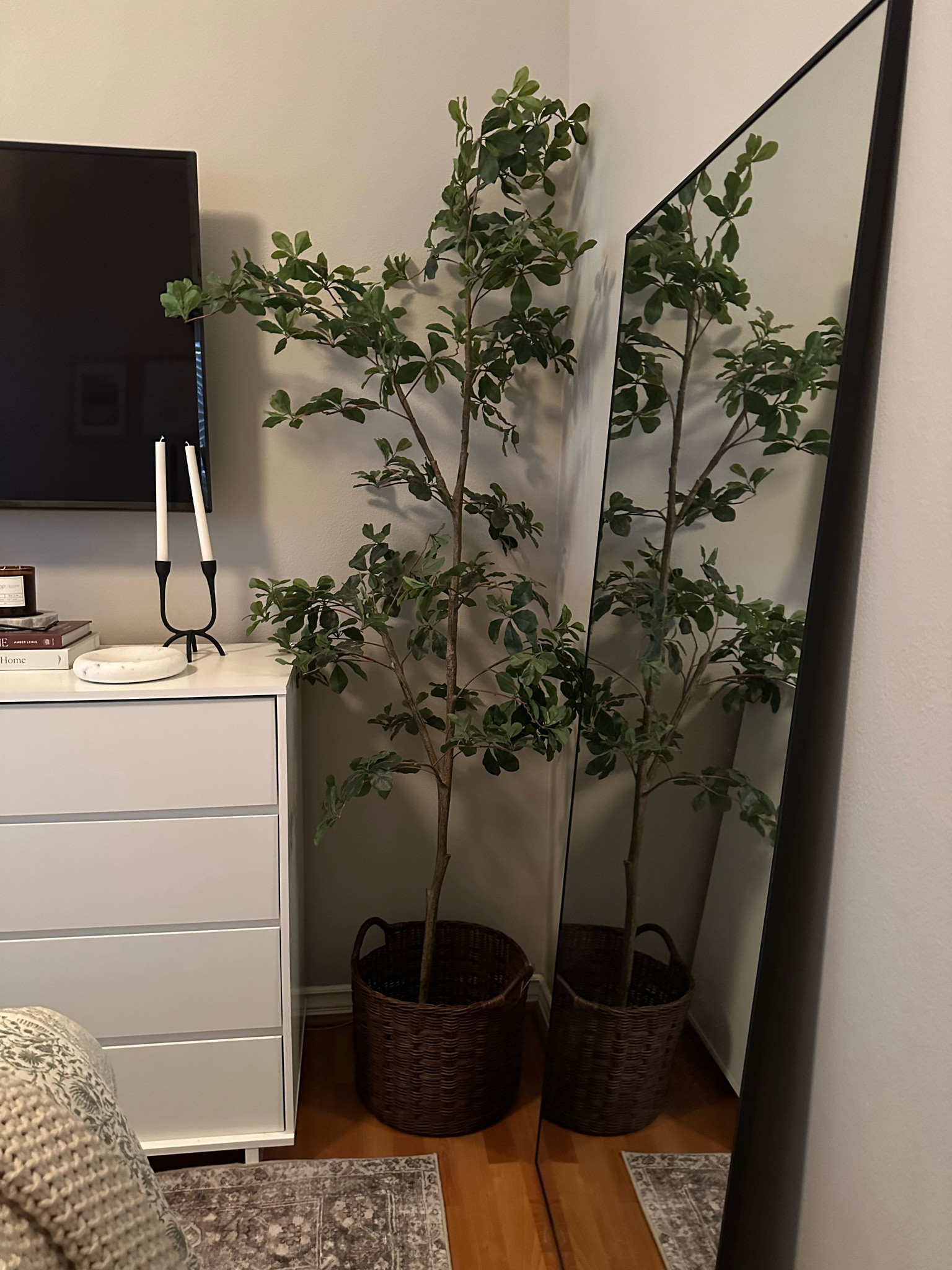 My 7’ Black Olive Tree is on sale for Amazon’s Big Deal Days! 


Find more content on Instagram @dealdesignco for more sources and daily finds from crate & barrel, CB2, Amber Lewis, Loloi, west elm, pottery barn, rejuvenation, William & Sonoma, amazon, shady lady tree, interior design, home decor, studio mcgee x target, bedroom furniture, living room, bedroom, bedroom styling, restoration hardware, end table, side table, framed art, vintage art, wall decor, area rugs, runners, vintage rug, target finds, sale alert, tj maxx, Marshall’s, home goods, table lamps, threshold, target, wayfair finds, Turkish pillow, Turkish rug, sofa, couch, dining room, high end look for less, kirkland’s, Ballard designs, wayfair, high end look for less, studio mcgee, mcgee and co, target, world market, sofas, loveseat, bench, magnolia, joanna gaines, pillows, pb, pottery barn, nightstand, throw blanket, target, joanna gaines, hearth & hand, floor lamp, world market, faux olive tree, throw pillow, lumbar pillows, arch mirror, brass mirror, floor mirror, designer dupe, counter stools, barstools, coffee table, nightstands, console table, sofa table, dining table, dining chairs, arm chairs, dresser, chest of drawers, Kathy kuo, LuLu and Georgia, Christmas decor, Xmas decorations, holiday, Christmas Eve, NYE, organic, modern, earthy, moody, faux plants, arm chair, wood constole table, nightstand, cabinet, burlwood, candlesticks, slipcover ottoman, floral throw pillow, framed art, home decor, woven basket 

#LTKHome #LTKSaleAlert #LTKxPrimeDay