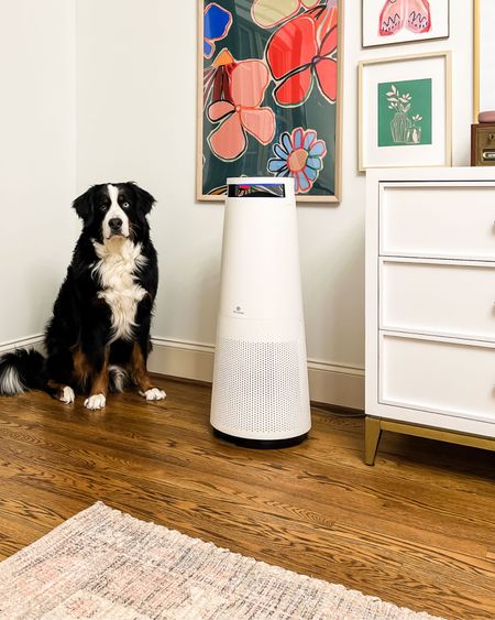 Y’all, this Sciaire air purifier has gotten rid of the lingering dog smell in our 🙌🏻🙌🏻🙌🏻 The PlasmaShield technology is a game changer. #ad 

#LTKhome
