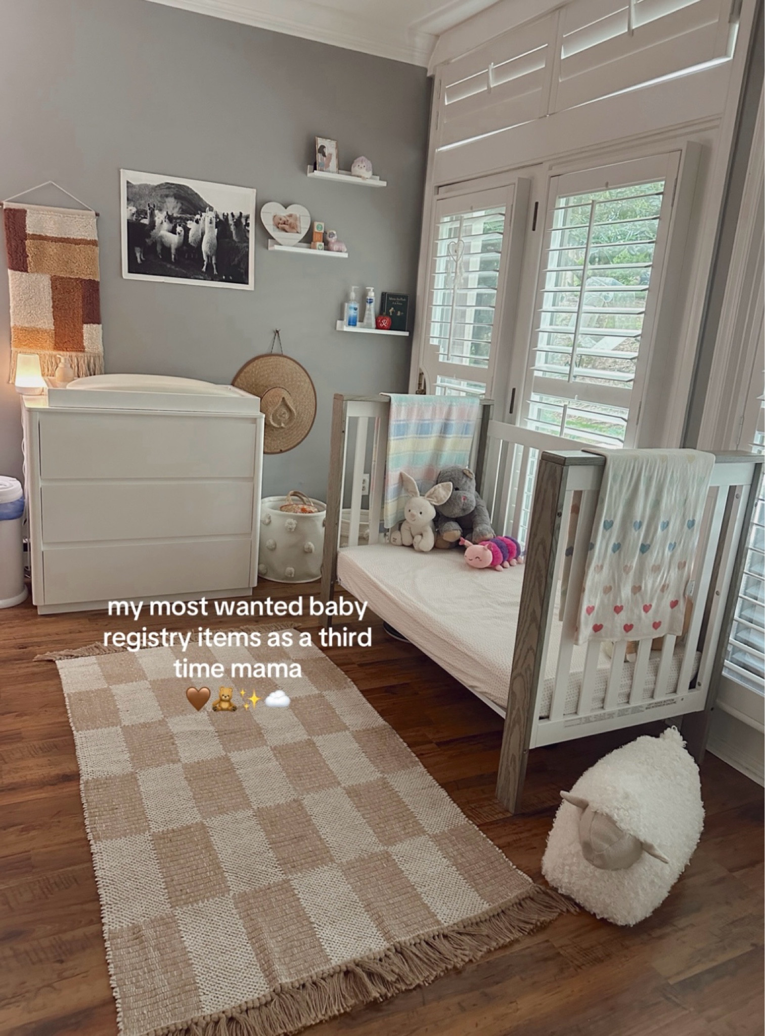 my most wanted baby registry items as a third time mama 🤎🧸✨☁️

#LTKBump #LTKBaby #LTKFindsUnder100