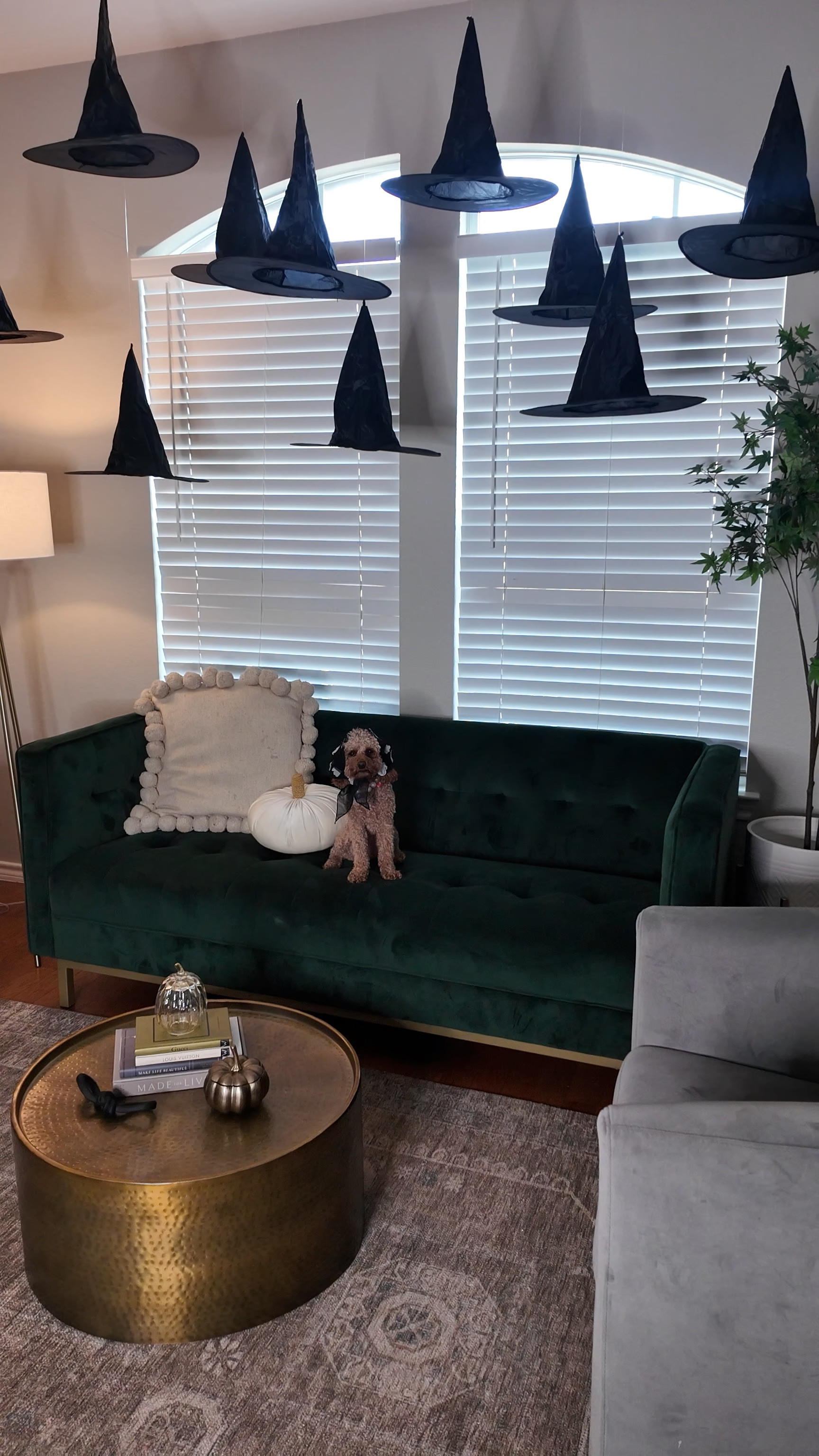 Lola is SO ready for Halloween 🎃 👻

#LTKStyleTip #LTKHome #LTKSeasonal