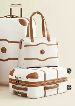 Delsey Paris Chatelet Air Upright Spinner Suitcase | Belk