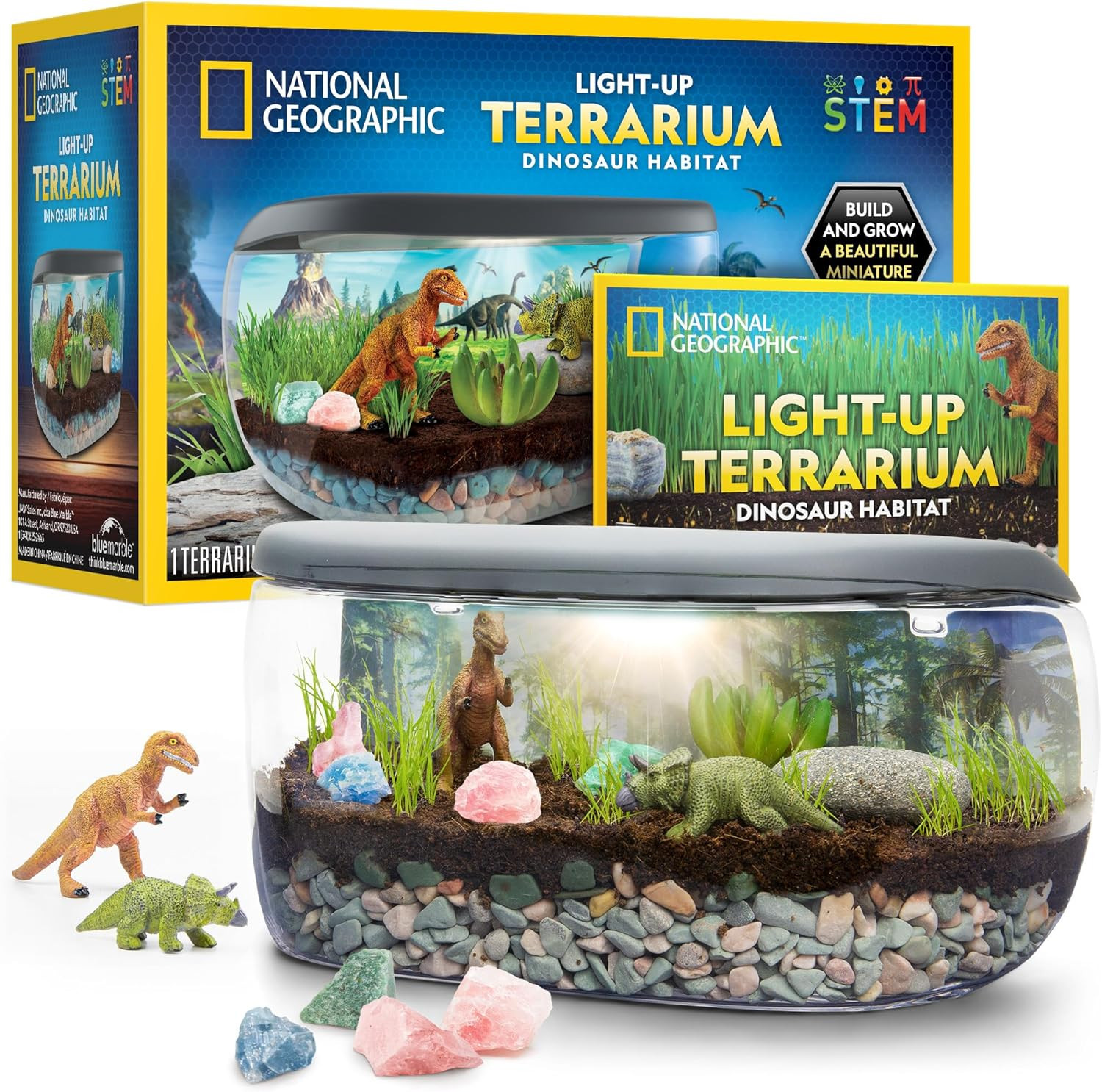 National Geographic Light Up Terrarium Kit for Kids - Build a Dinosaur Habitat with Real Plants &... | Amazon (US)