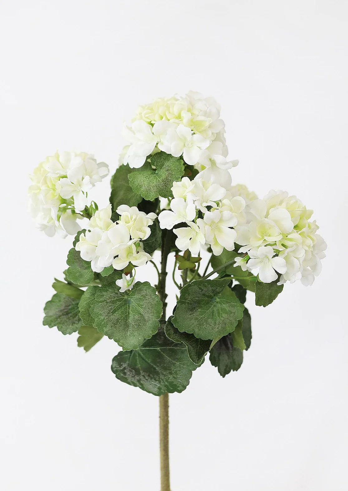 UV Protected Indoor/Outdoor Geranium Bush in Cream White - 18" | Afloral (US)