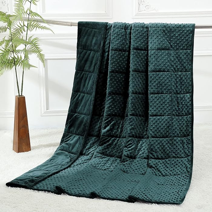 Alomidds Weighted Blanket (60"x80",20lbs Queen Size - Green), Weighted Blankets for Adults, Cooli... | Amazon (US)