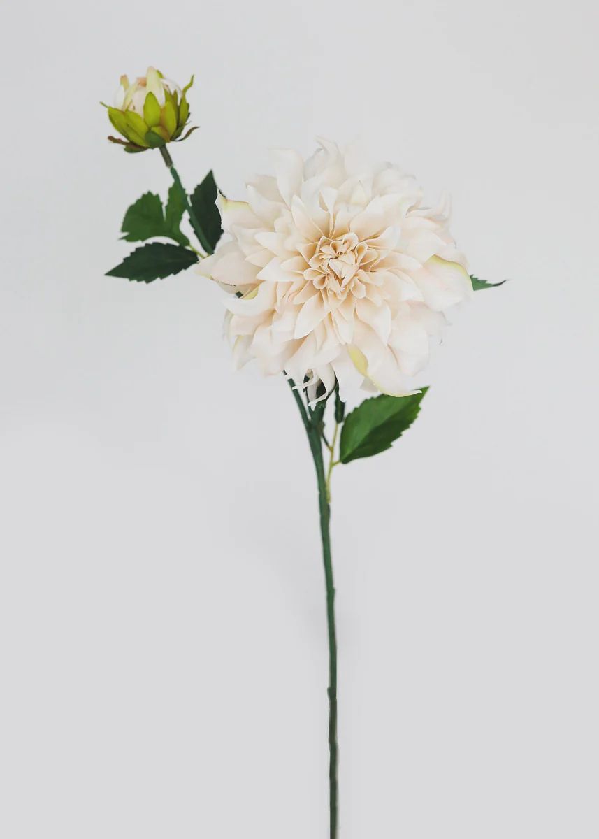 Ivory Dahlia Flower in Ivory - 19.5 | Afloral (US)