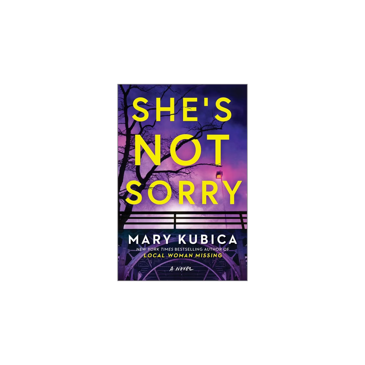 She's Not Sorry - by  Mary Kubica (Hardcover) | Target