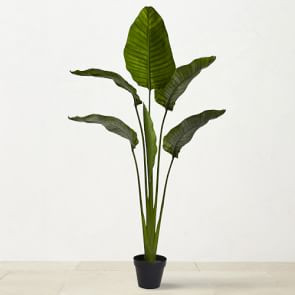 UV Resistant Faux Travelers Palm Tree,60" | Williams-Sonoma