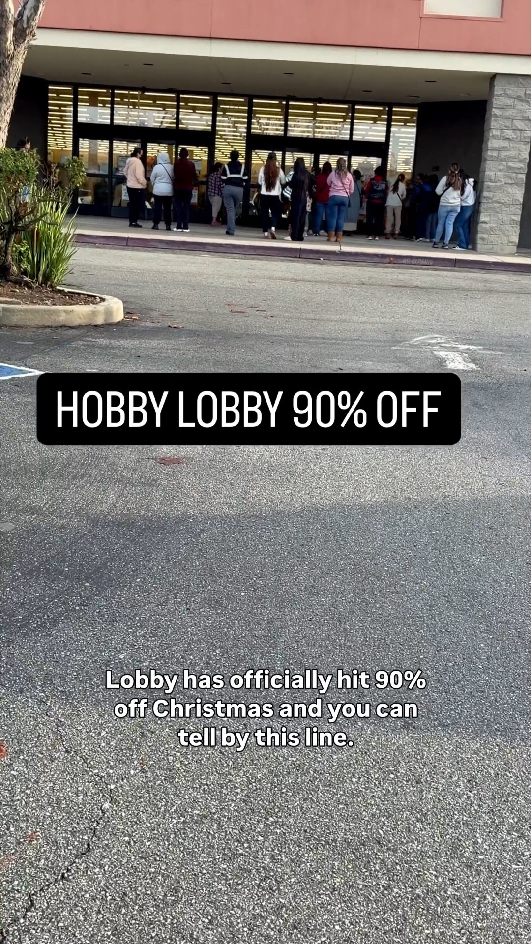 You know how much I love and deal and just have to share @hobbylobby 90% off finds 

#LTKSeasonal #LTKHome #LTKSaleAlert