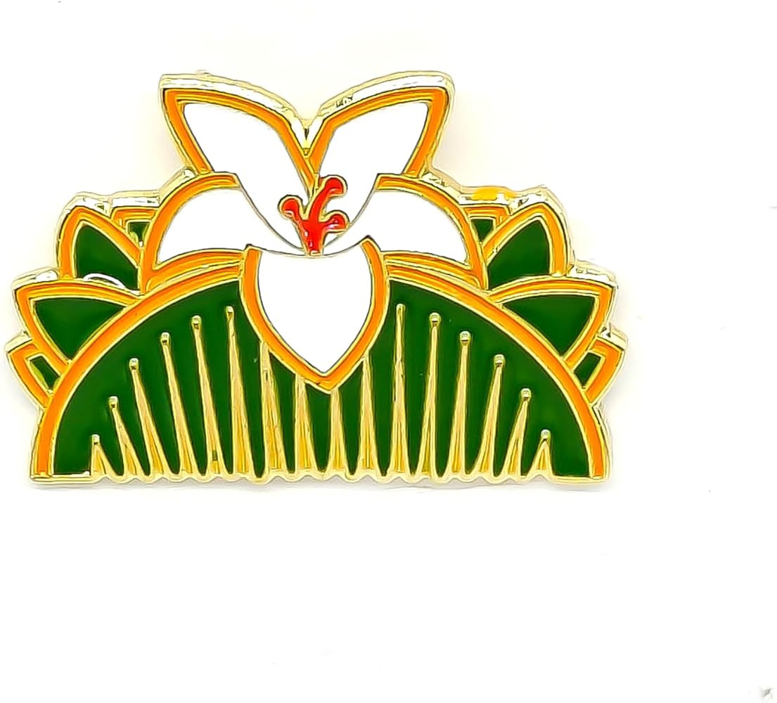 Mulan - Pin esmaltado de peine \u2013 Serie Cooperation \u2013 Pin de solapa esmaltado \u2013 Ins... | Amazon (US)