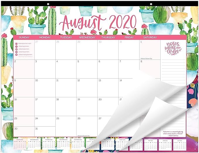 bloom daily planners 2020-2021 Academic Year Desk/Wall Monthly Calendar Pad (August 2020 - July 2... | Amazon (US)