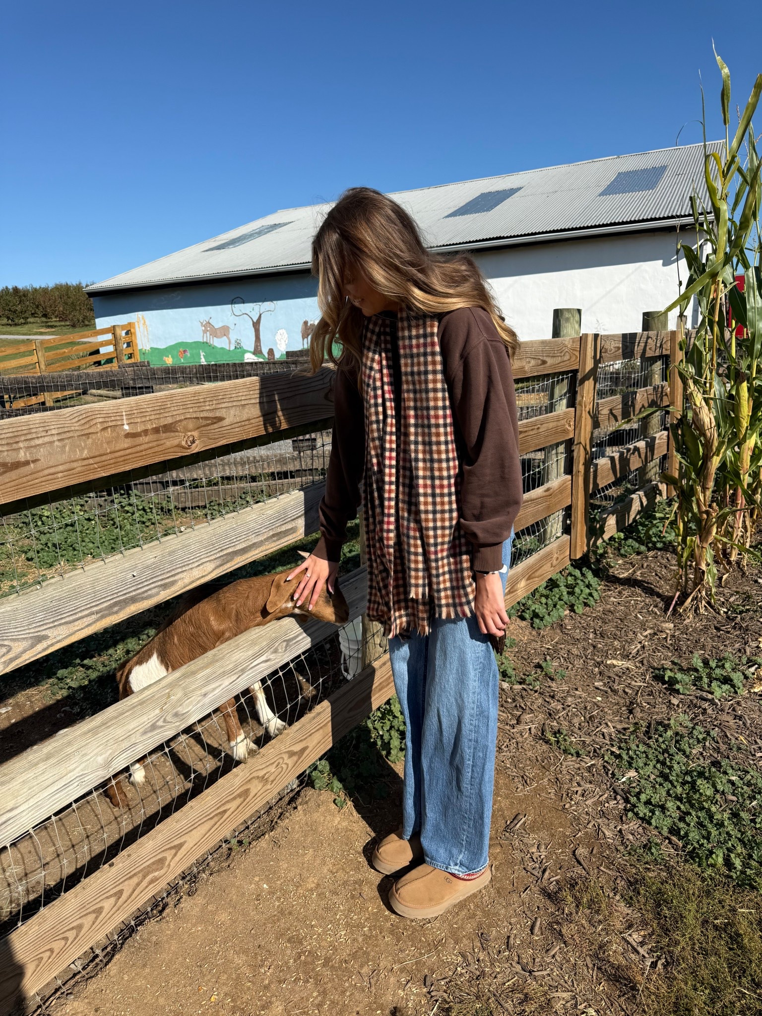 pumpkin patch fit 

#LTKHalloween #LTKSeasonal #LTKGiftGuide