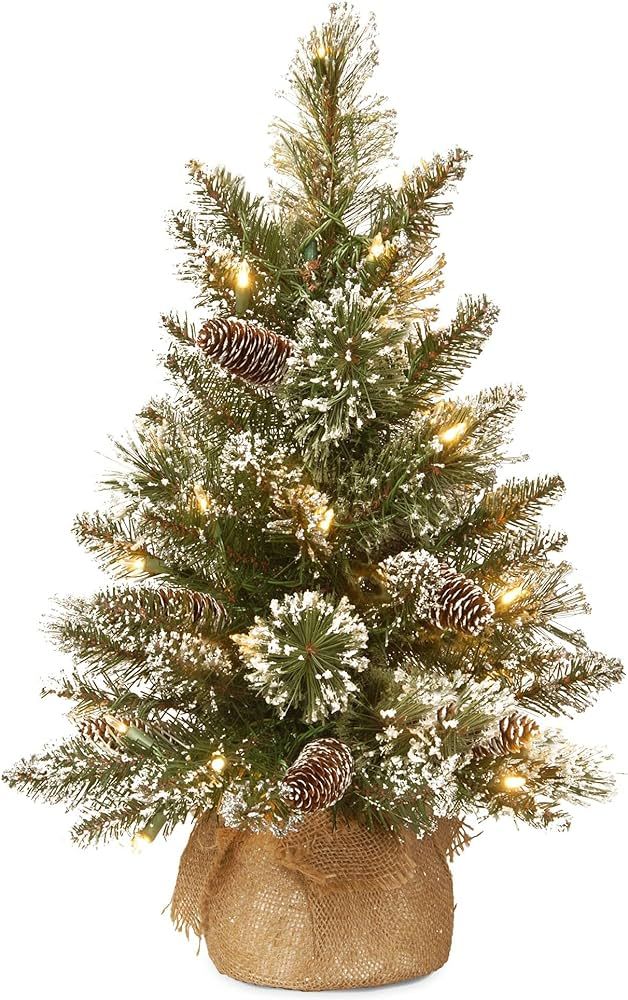 Amazon.com: National Tree Company Pre-lit Artificial Mini Christmas Tree | Includes Small LED Lig... | Amazon (US)