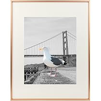 Frametory, Metal Picture Frame Collection, Aluminum Photo Frame with Ivory Color Mat & Real Glass... | Amazon (US)