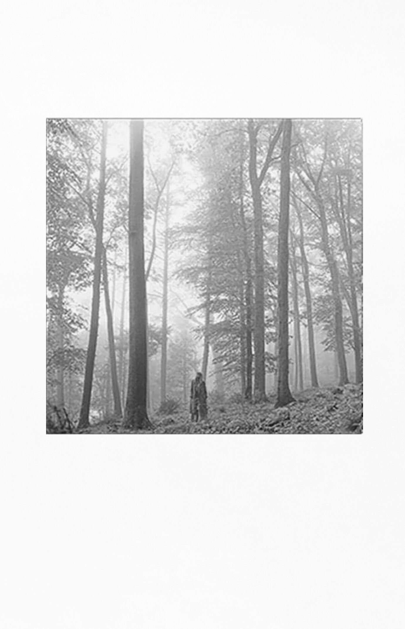 Taylor Swift Folklore Vinyl Record | PacSun