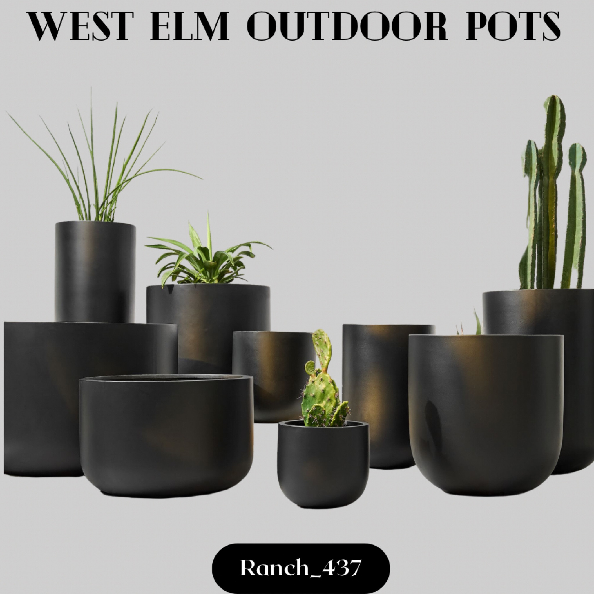 West Elm outdoor pot sale! 

Black outdoor pots

#LTKSeasonal #LTKhome #LTKsalealert