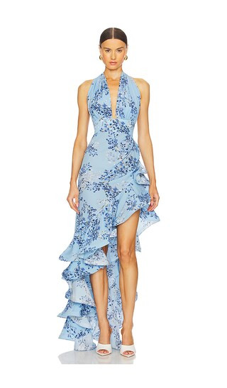 Bronte Poppy Maxi Dress in Blue Multi | Revolve Clothing (Global)