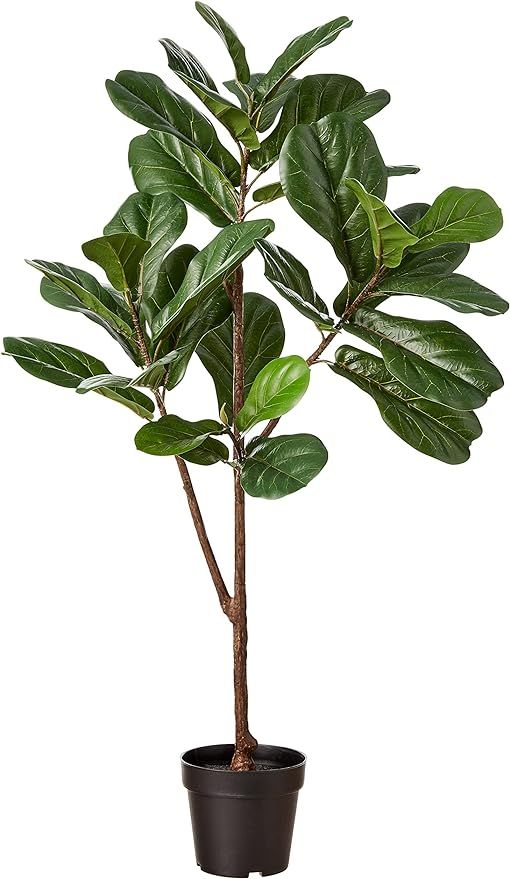 Amazon Brand - Stone & Beam Artificial Fiddle Leaf Fig Tree with Plastic Nursery Pot, 4.3 Feet (5... | Amazon (US)