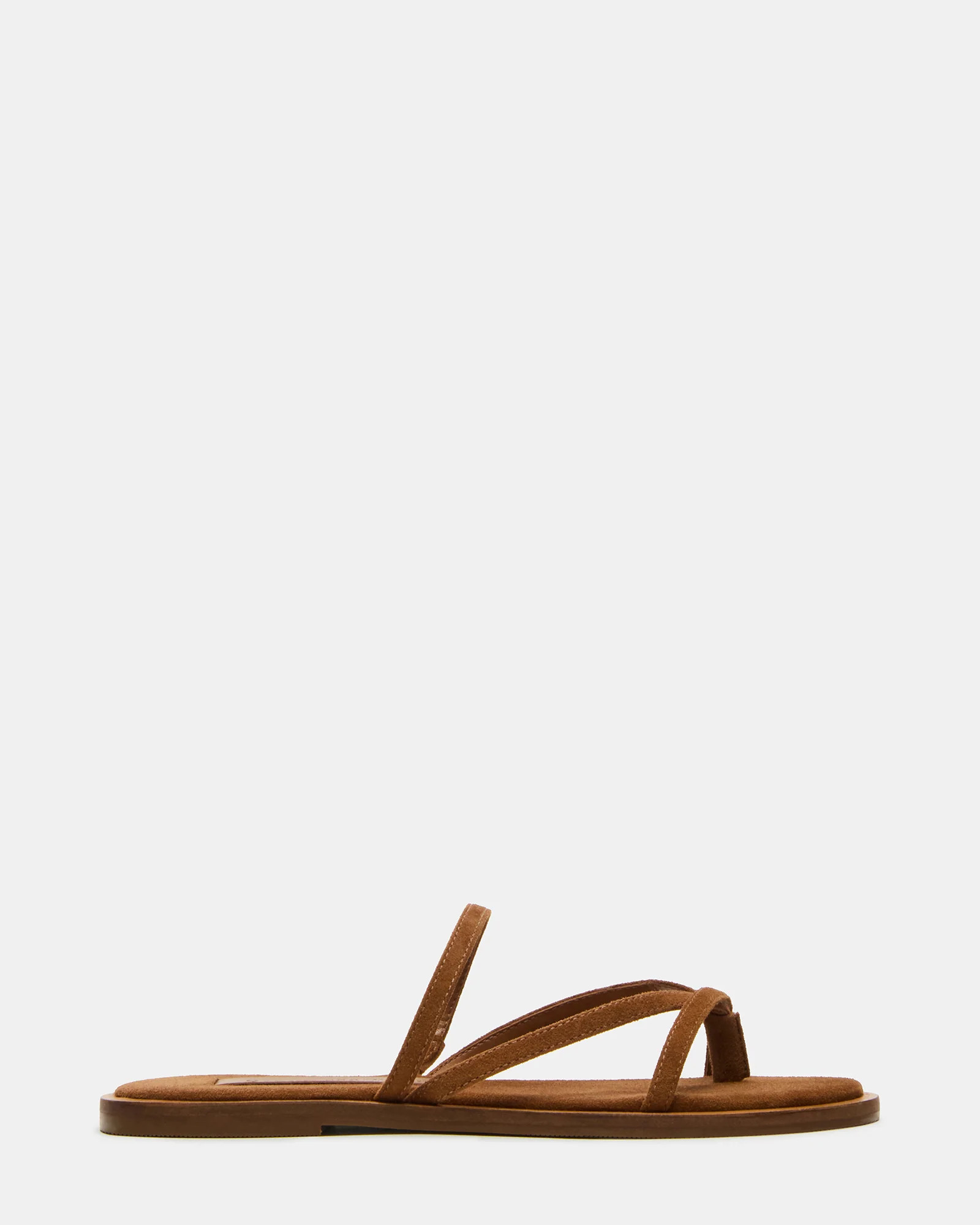 Ellery Chestnut Suede | Steve Madden (US)