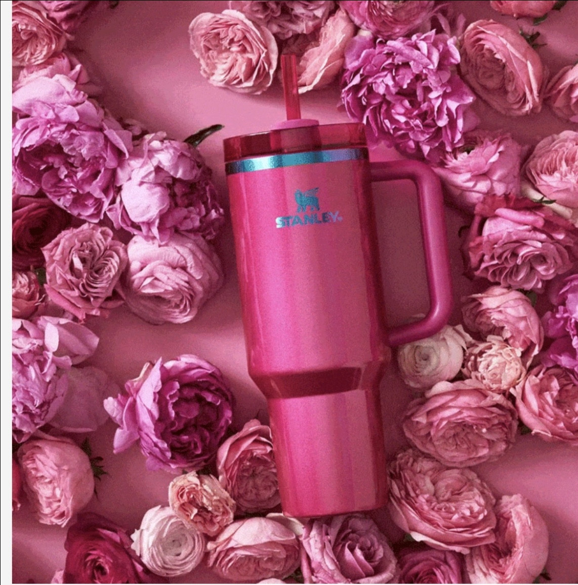 Berry Truffle Stanley’s! Limit 2 per customer!💗❤️

#LTKGiftGuide #LTKHome #LTKFamily