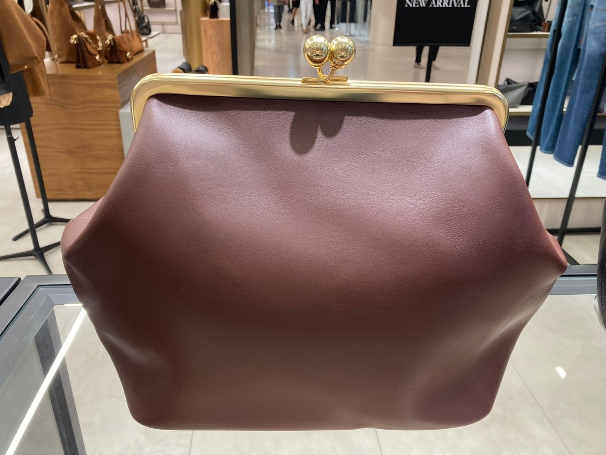 Coach Large Kisslock Frame Bag CBR51 B4/DB Dark Brown Glovetanned Leather | eBay US