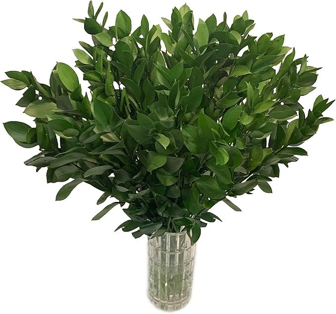 Fresh Cut Israeli Ruscus | Greens for Decoration | Fresh Flowers & Free Delivery by The Flowers E... | Amazon (US)