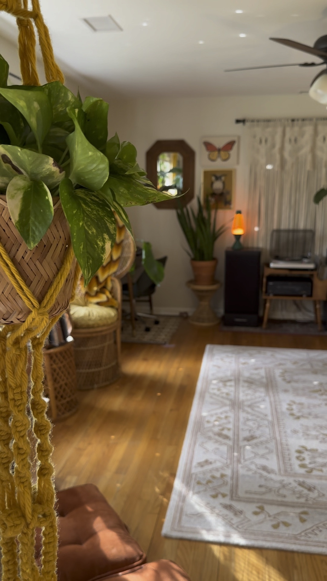 70s boho living room🌿

#LTKHome #LTKVideo #LTKU