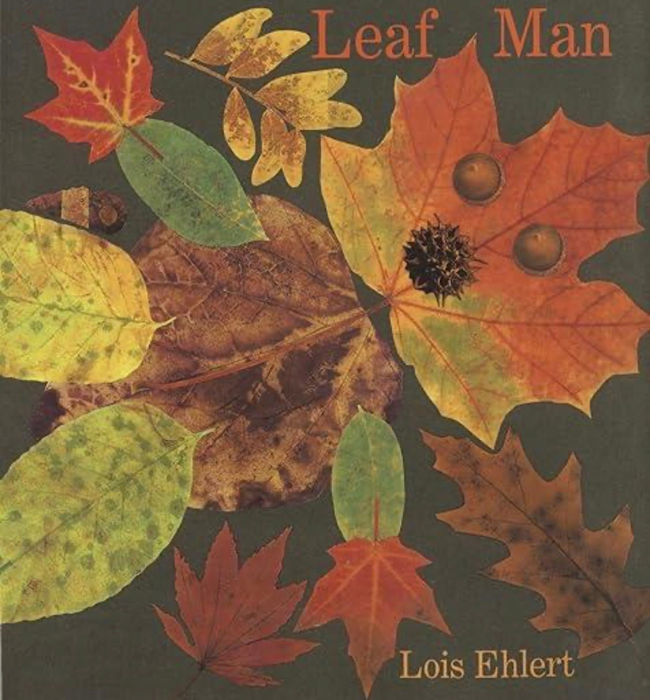 Ride the wind and drift east with Leaf Man in this autumnal classic by Caldecott Honor-winning author-illustrator Lois Ehlert, perfect for young readers returning to school in the fall.

Fall has come, the wind is gusting, and Leaf Man is on the move. Is he drifting east, over the marsh and ducks and geese? Or is he heading west, above the orchards, prairie meadows, and spotted cows?

No one's quite sure, but this much is certain: A Leaf Man's got to go where the wind blows.

Ehlert crafts each illustration out of actual fall leaves on every spread to reveal gorgeous landscapes. This playful and whimsical book celebrates the natural world and the rich imaginative life of children. 

 #LTKFamily