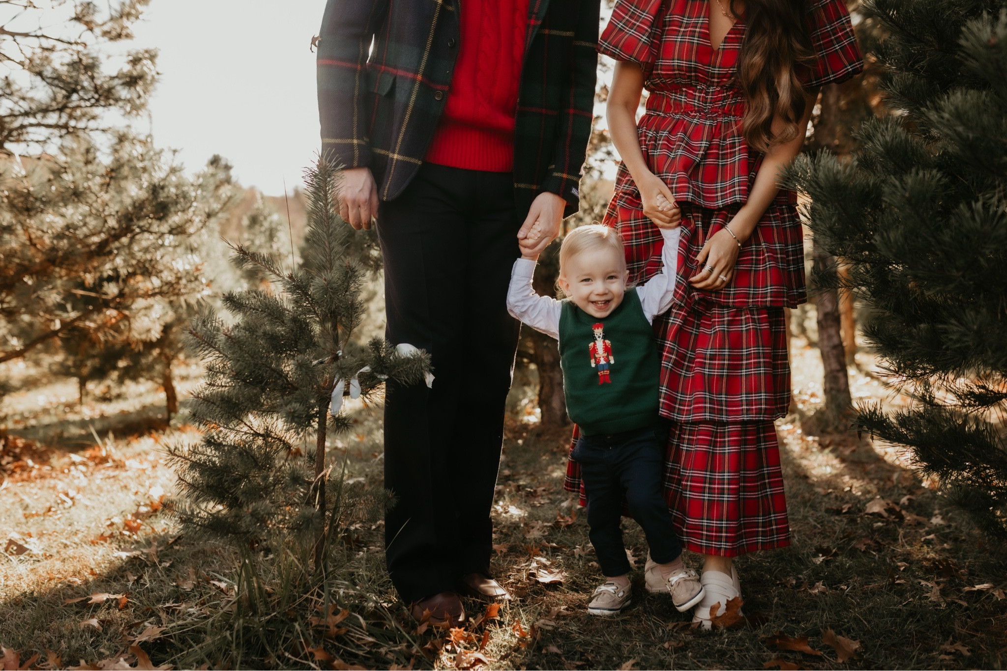 Holiday family Christmas photo outfit ideas and inspiration

#LTKHoliday #LTKFamily #LTKSeasonal