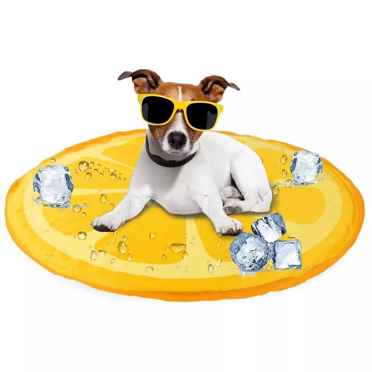 Chill Out - Dog Cooling Mat - Orange Cooling Mat for Summer | Target