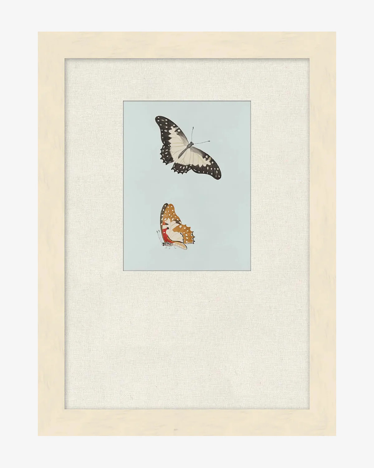 Butterflies Study II | McGee & Co. (US)