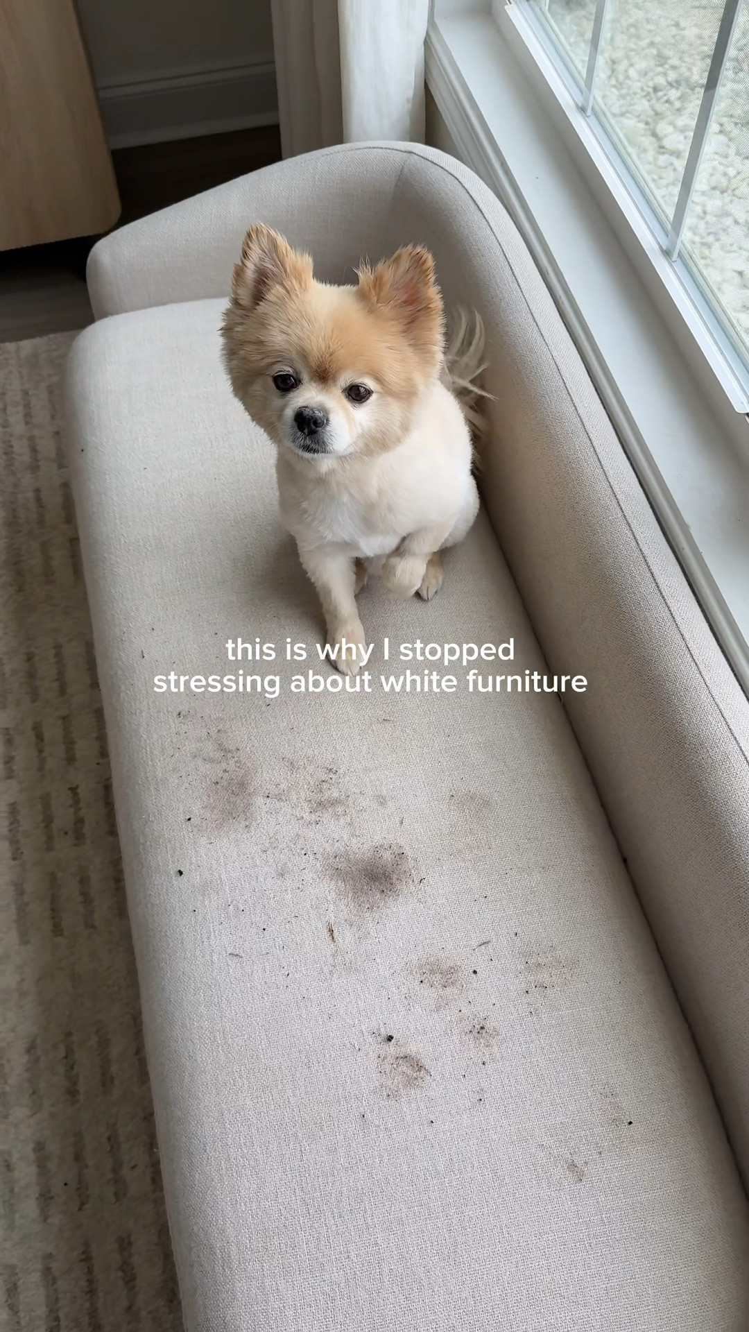 if you have pets, you already know how fast messes happen 🐾  
I’ve been using the Shark StainStriker for moments like this and it’s been so easy. Just spray and suction and it pulls everything out, even the stuff that’s really set in.  

it’s a portable spot cleaner with a dual-action formula that actually works on tough stains, and I love that I can use it on my couch, rugs, and other spots around the house without stressing.  

#LTKHome