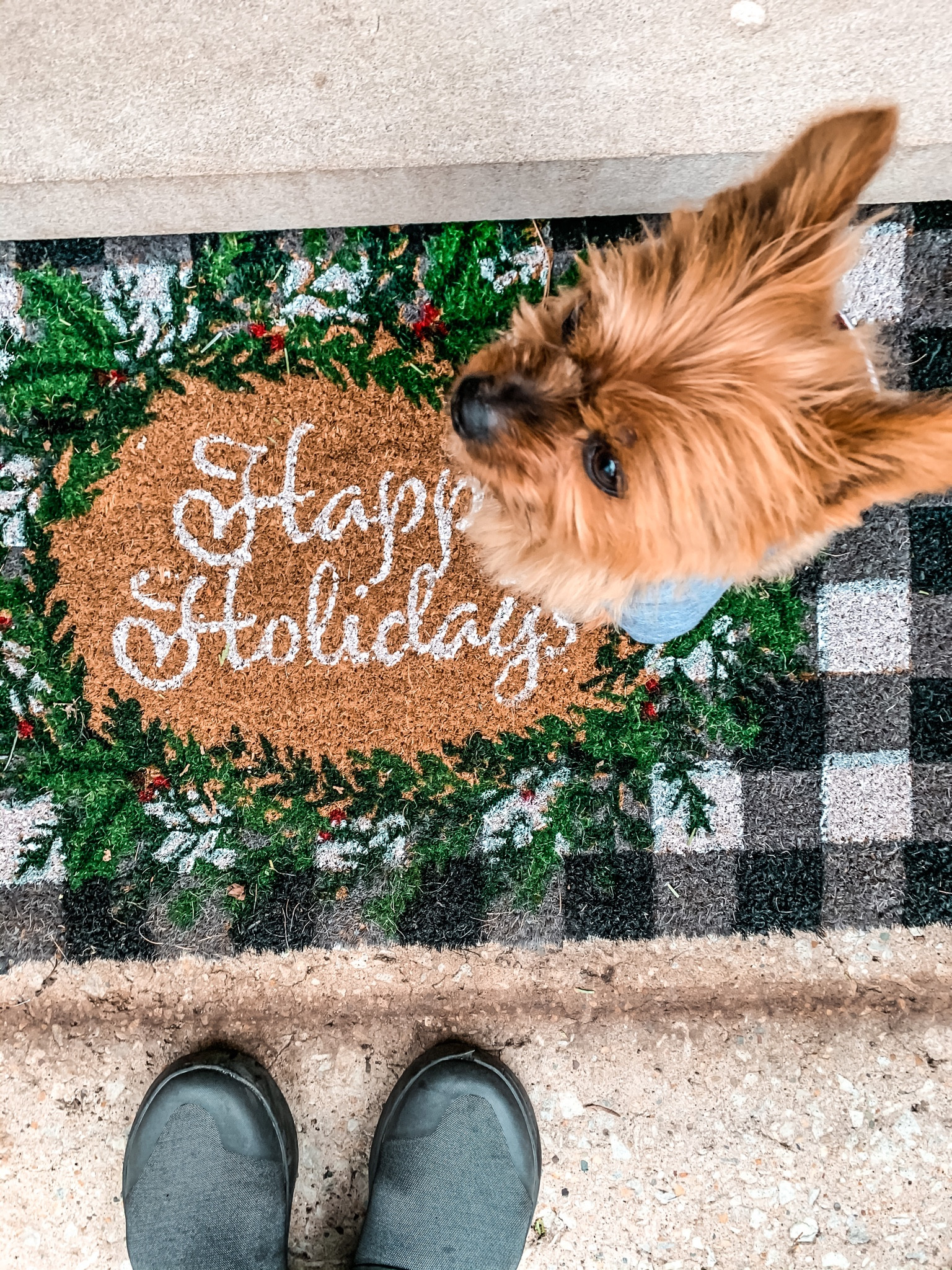 Christmas core doormat 
Door mats
Washable holiday rug
Custom Welcome family name mat
- layering welcome mats
#ltkunder100 #ltkunder50 #ltksalealert

#LTKGiftGuide #LTKSeasonal #LTKHoliday