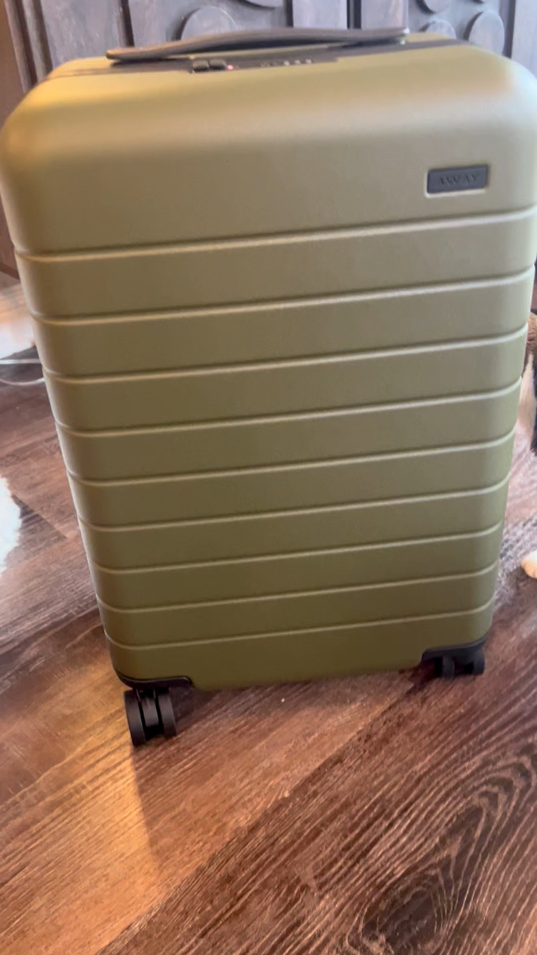 I’ve been testing this Away carry-on for upcoming travel and it’s officially a win: smooth wheels, thoughtful pockets, and super lightweight. Ideal for anyone planning a fall trip or looking to upgrade their suitcase.

#LTKSeasonal #LTKPets #LTKTravel