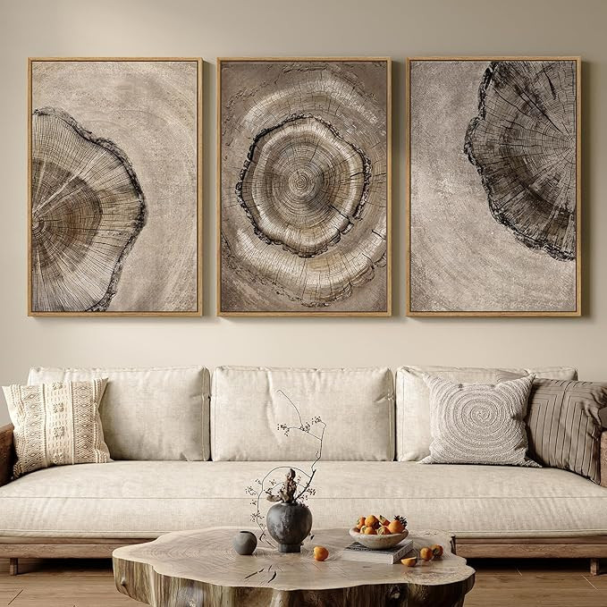 Large Framed Neutral Vintage Wall Art for Living Room, 3 Piece Retro Rustic Tree Ring Prints Canv... | Amazon (US)