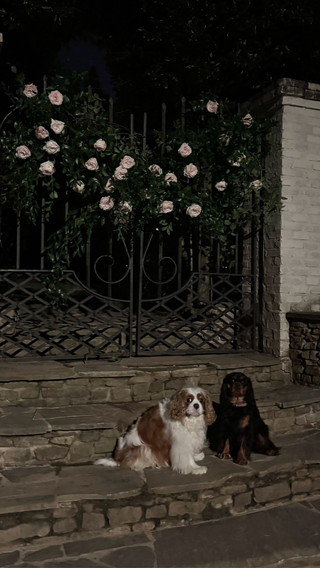 The toy of the year for little boys! 

#LTKHoliday #LTKGiftGuide #LTKmomlife