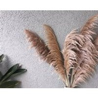 Natural XLarge Super Fluffy Dried Pampas Grass | Etsy (US)
