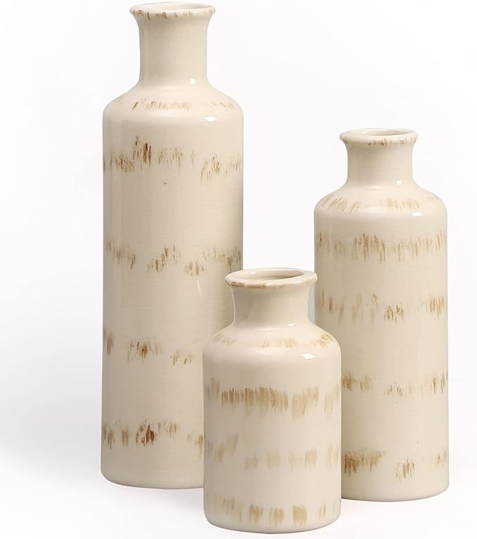 Ceramic Vases for Home Decor, Set of 3 Small Vases, Boho Vases, Decorative Vases, Modern Farmhous... | Amazon (US)