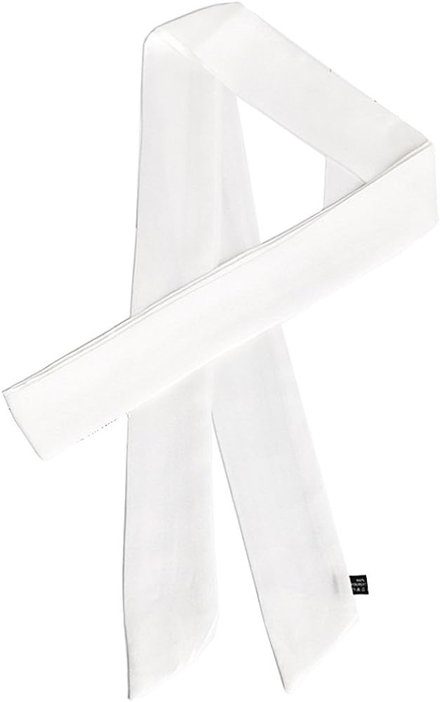 Lujuny Long Thin Chiffon Silk-like Scarf - Skinny Neck Tie Waist Belt for Women Girls, 78.0 inch | Amazon (US)