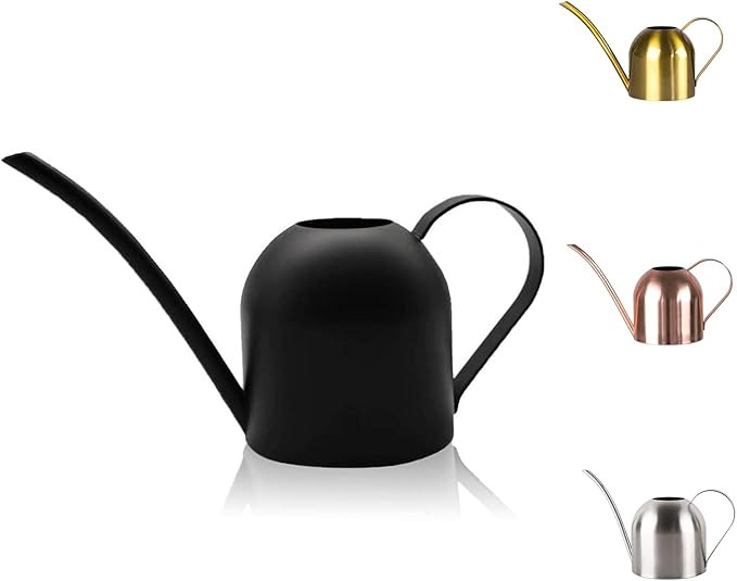 Small Watering Can for Indoor Plants, 15oz/450ml Stainless Steel Long Spout Watering Can for Succ... | Amazon (US)