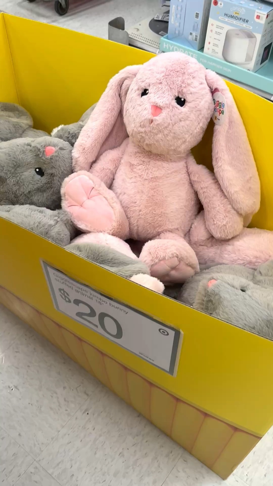 $20 large stuffed bunnies!

#LTKSeasonal #LTKHome #LTKKids