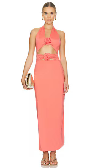 Vaupes Dress in Tropical Pink | Revolve Clothing (Global)